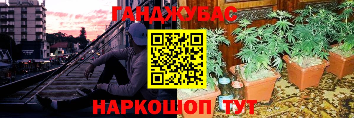Бошки марихуана планчик  МАРИХУАНА индика  Вход с VPN  Семёнов 